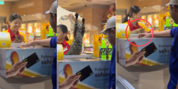 Meet the Adorable Furry Cashier Who Is Stealing Every Customer’s Heart This Week
