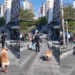Fearless Puppy Rides Skateboard Down Busy Staircase, Stunning Passing Pedestrians