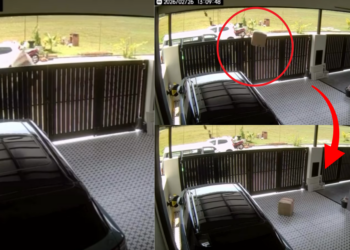 Customer Claims Courier Dropped Sensitive Shipment and Smashed 18 Porcelain Plates