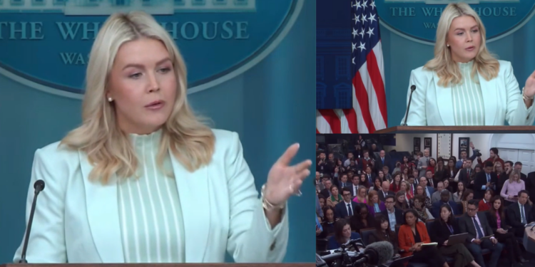 Who exactly is the US negotiating with?! ‘We’re not going to get into the details’ – Leavitt