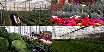 Costs climb, crops wait – Italian growers sound alarm over fertiliser price surge, export disruptions amid Hormuz crisis