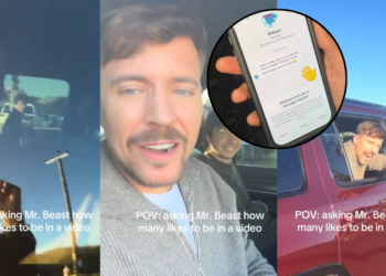 Emerging TikTok Creator Seeks Ten Million Likes To Feature In New MrBeast Video