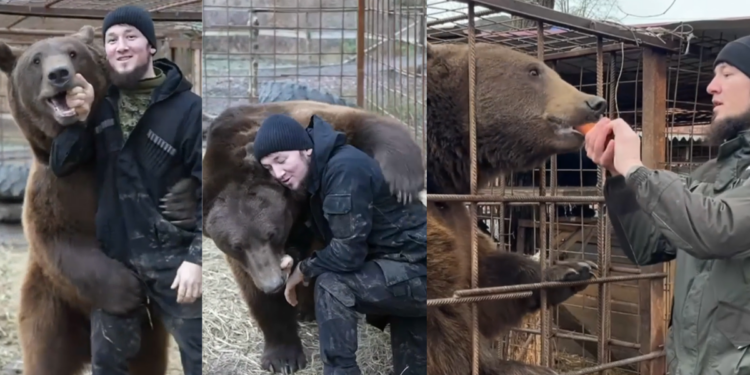 Bear-knuckle fighting! – Russian takes in orphaned cub… who turns ‘sparring partner’