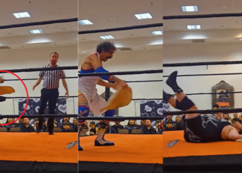 Four White Cats Perched on Park Lights Spark Midnight Boss Battle Mystery