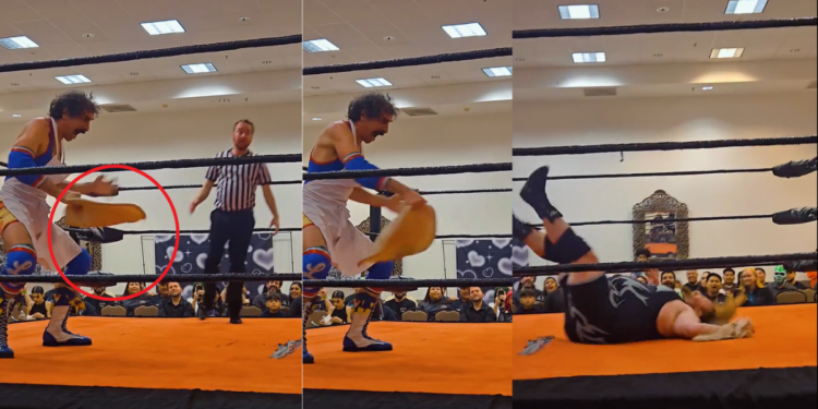 Four White Cats Perched on Park Lights Spark Midnight Boss Battle Mystery