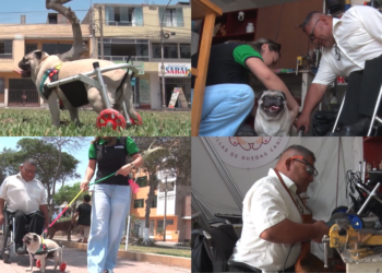 Voters celebrate as rapper-politician Balen Shah topples ousted Nepalese PM Oli in historic RSP landslide