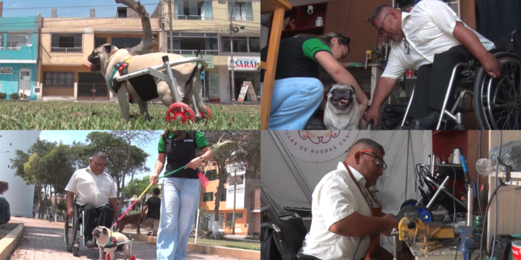 Voters celebrate as rapper-politician Balen Shah topples ousted Nepalese PM Oli in historic RSP landslide