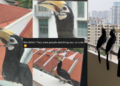 Hornbills Peek Into Homes, Surprise Residents Across Housing Estates Again