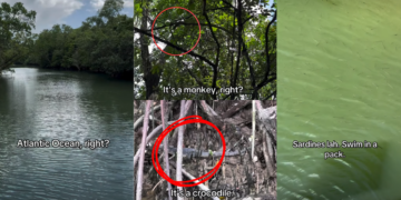Singapore Content Creator Went Viral by Hilariously Misidentifying Animals at Paris Ris Park