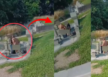 ‘Disrespecting the Deceased’: Viral Clip of Indecent Act at Cemetery Leads to Arrests