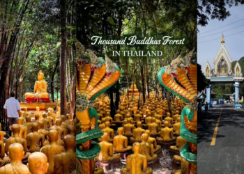 Love hiking? Here’s Thailand’s Hidden ‘Thousand Buddhas Forest Temple’