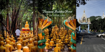 Love hiking? Here’s Thailand’s Hidden ‘Thousand Buddhas Forest Temple’