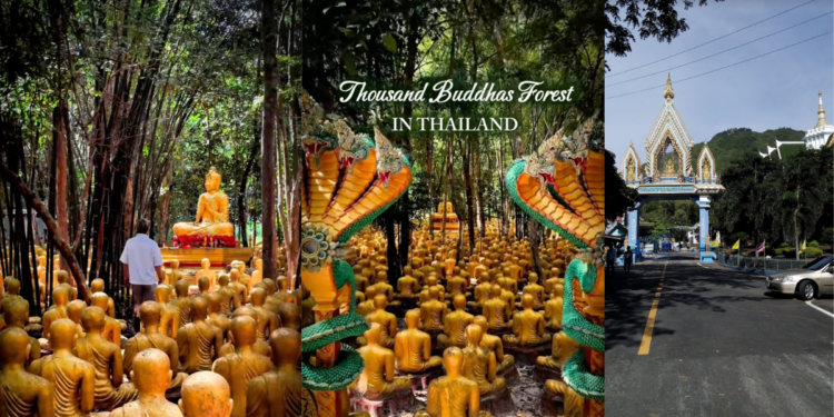 Love hiking? Here’s Thailand’s Hidden ‘Thousand Buddhas Forest Temple’