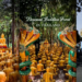 Love hiking? Here’s Thailand’s Hidden ‘Thousand Buddhas Forest Temple’