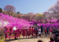 Tickled pink! – Spring paints Korea’s Bucheon in fuchsia hues as Azalea Festival dazzles visitors