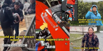 ZXMOTO wins World Superbike races, promotes Mayang brown sugar farmers