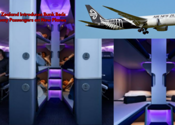 Air New Zealand Introduces Bunk Beds for Economy Passengers on Long Flights