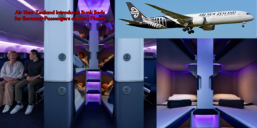 Air New Zealand Introduces Bunk Beds for Economy Passengers on Long Flights