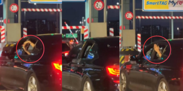 Polite Passenger Uses Heart Gestures To Cut Into Toll Line Smoothly