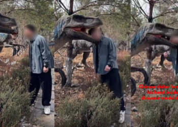 Man Injured After Head Gets Stuck in Dinosaur Model in China