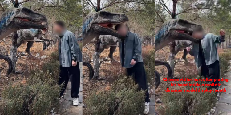 Man Injured After Head Gets Stuck in Dinosaur Model in China