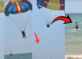 Parasailing Accident in Phuket as Rope Snaps, Tourist Falls Into Sea