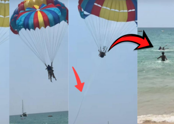 Parasailing Accident in Phuket as Rope Snaps, Tourist Falls Into Sea