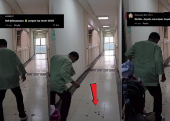 Shocking Video Shows Cockroaches Swarming Apartment Corridor