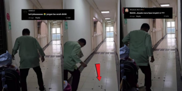 Shocking Video Shows Cockroaches Swarming Apartment Corridor