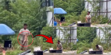 Malaysia Animal Abuse Case: Man Arrested After Viral Puppy Video