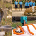 Stray Dog Kills Snake, Saves 30 Children, Dies After Attack