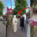 Viral Video: Teens in Baju Raya Pose for Photos as Cows Politely Wait