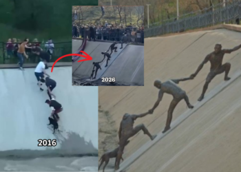 Almaty Dog Rescue Monument Commemorates Viral Human Chain Event