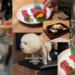 Viral Pet-Friendly Yakiniku in Tokyo Lets Pets Enjoy Special Menu With Owners