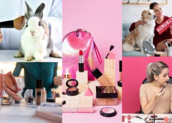 Beyond the Packaging: Beauty Brands You Love May Be Hiding a Cruel Reality