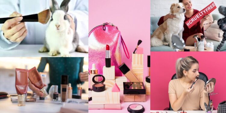 Beyond the Packaging: Beauty Brands You Love May Be Hiding a Cruel Reality