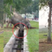 Jumanji Moment as Mother Elephant Rescues Trapped Calf in Malaysia