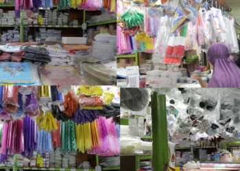 DRC activists demand an end to Franco-British resource extraction over environmental concerns