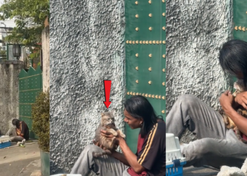 Homeless Man Poor in Money but Rich in Love for His Cat