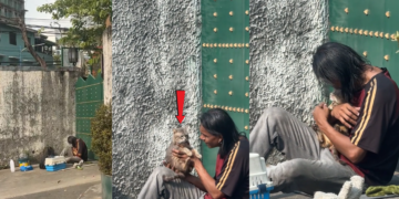 Homeless Man Poor in Money but Rich in Love for His Cat