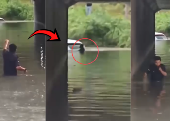 Police officers risk their safety to rescue motorists trapped in a flooded tunnel