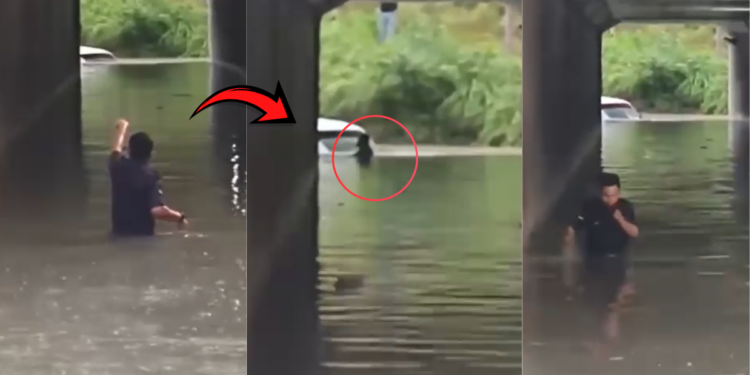 Police officers risk their safety to rescue motorists trapped in a flooded tunnel