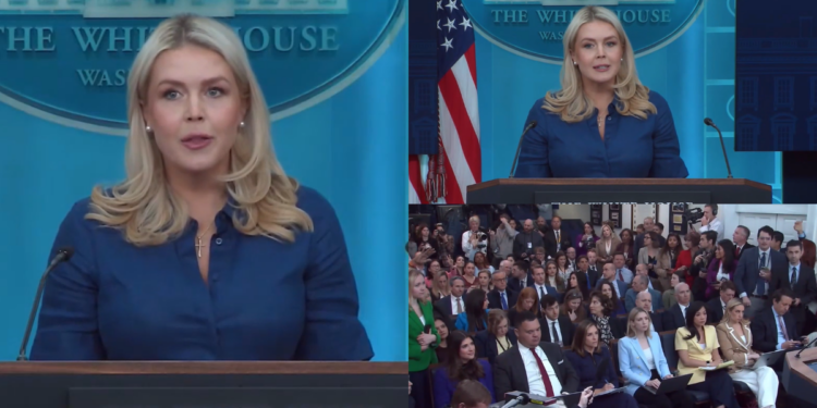 US withdrawal from NATO is ‘something the president will be discussing with Rutte’ – Leavitt