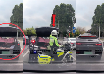 Driver Opens Trunk at Red Light to Display Big Fish, Officer Shuts It Immediately