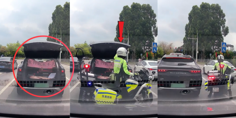 Driver Opens Trunk at Red Light to Display Big Fish, Officer Shuts It Immediately