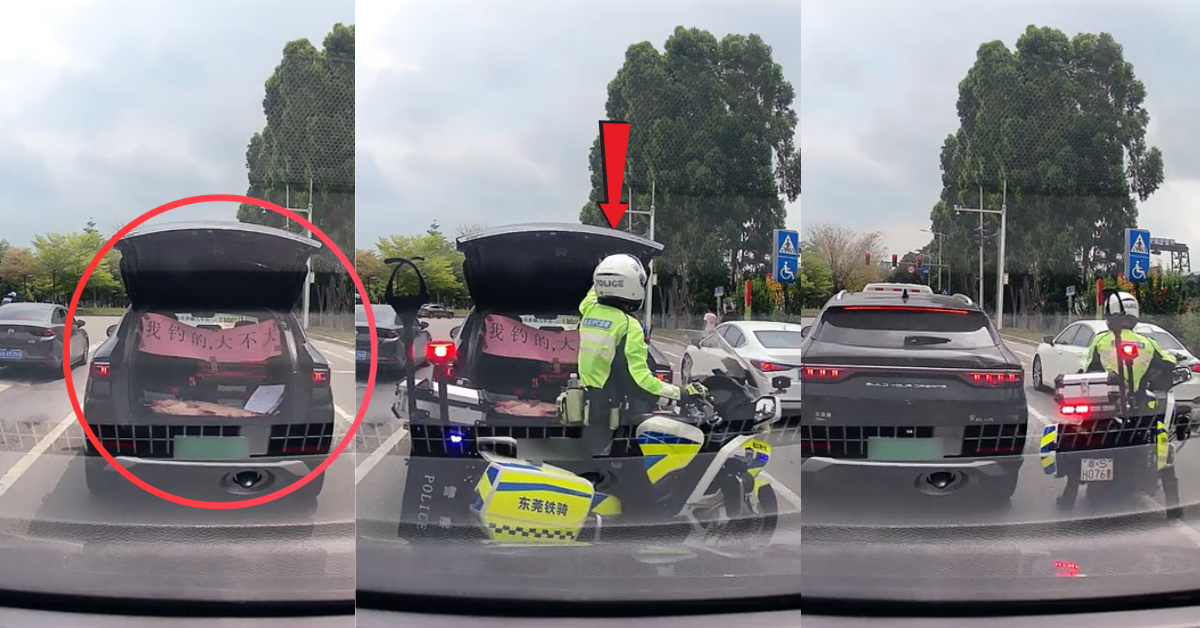 Driver Opens Trunk at Red Light to Display Big Fish, Officer Shuts It Immediately