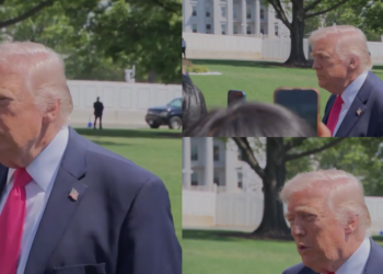 ‘They were not there when we asked them to be there!’ – Trump blasts Australia over Hormuz support