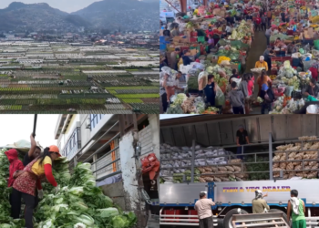 Sea of mourning – Thousands in Tehran mark 40 days since killing of Supreme Leader Khamenei
