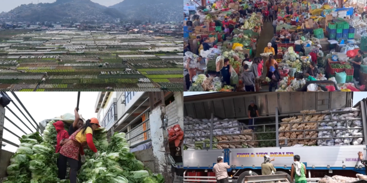 Sea of mourning – Thousands in Tehran mark 40 days since killing of Supreme Leader Khamenei