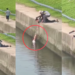 Brave Rescuer Saves Drowning Child After A Bicycle Accident in a Deep Canal